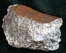 Agatized Dinosaur Bone - Polished #11436-1